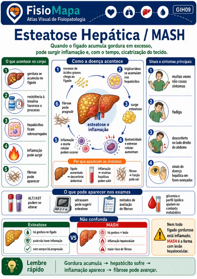 Amostra 1 do FisioMapa Visual de Fisiopatologia