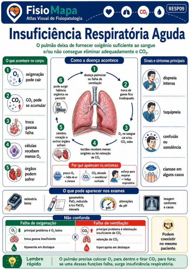 Amostra 3 do FisioMapa Visual de Fisiopatologia
