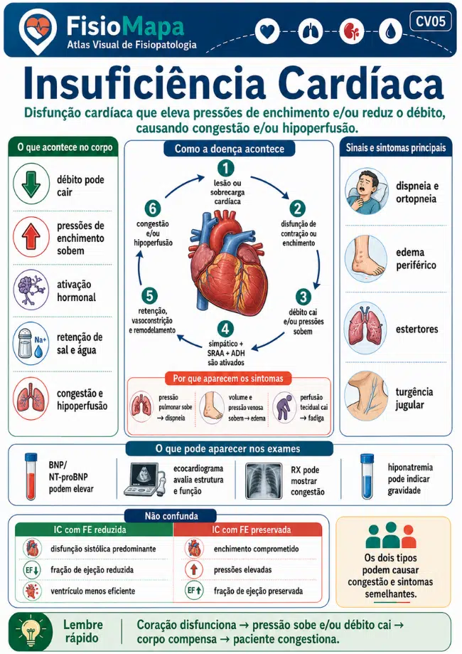 Amostra 5 do FisioMapa Visual de Fisiopatologia