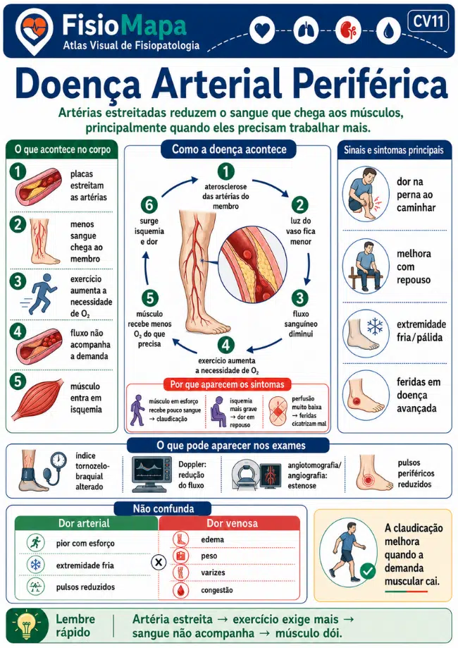 Amostra 6 do FisioMapa Visual de Fisiopatologia